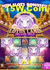 Casino VIP 5h5h